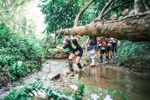 BIB: 
                            <button type="button" onclick="openModal(25517664)" class="btn btn-primary btn-sm float-right btn-popup" data-toggle="modal" data-target=".modal-high-quality">
                        <i class="fas fa-shopping-cart"></i> Add to Cart
                    </button>
                                            <button type="button" onclick="isThisMe(25517664, true)" class="btn btn-success btn-sm float-right btn-popup btn-isme hidden" data-toggle="tooltip" data-placement="bottom" title="นี่คือรูปของคุณใช่ไหม คลิกที่นี่เพื่อเอาเข้าอัลบั้ม">
                        <i class="fas fa-plus"></i> Add to album
                    </button>
                    <button type="button" onclick="isThisMe(25517664, false)" class="btn btn-warning btn-sm float-right btn-popup btn-isnotme hidden">
                        <i class="fas fa-ban"></i> Remove from album
                    </button>